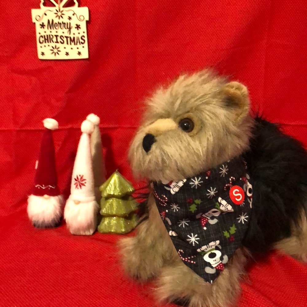 Dog bandanna